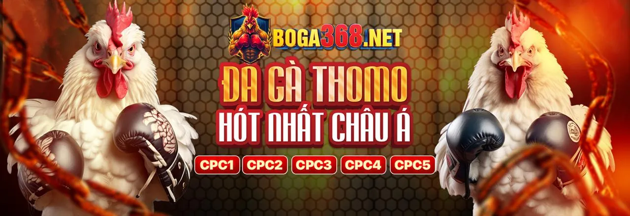 Giao diện thân thiện và dễ sử dụng